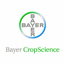 bayer